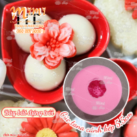 Khuôn silicon cúc tana cánh kép nhấn đậu